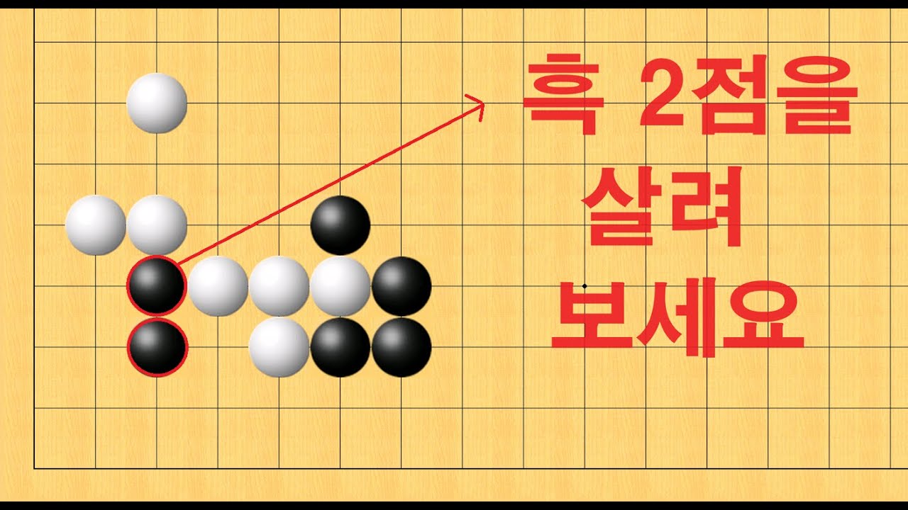 바둑 묘수 사활 - 세상에 이런 수가 있나요? 흑 2점을 살려보세요