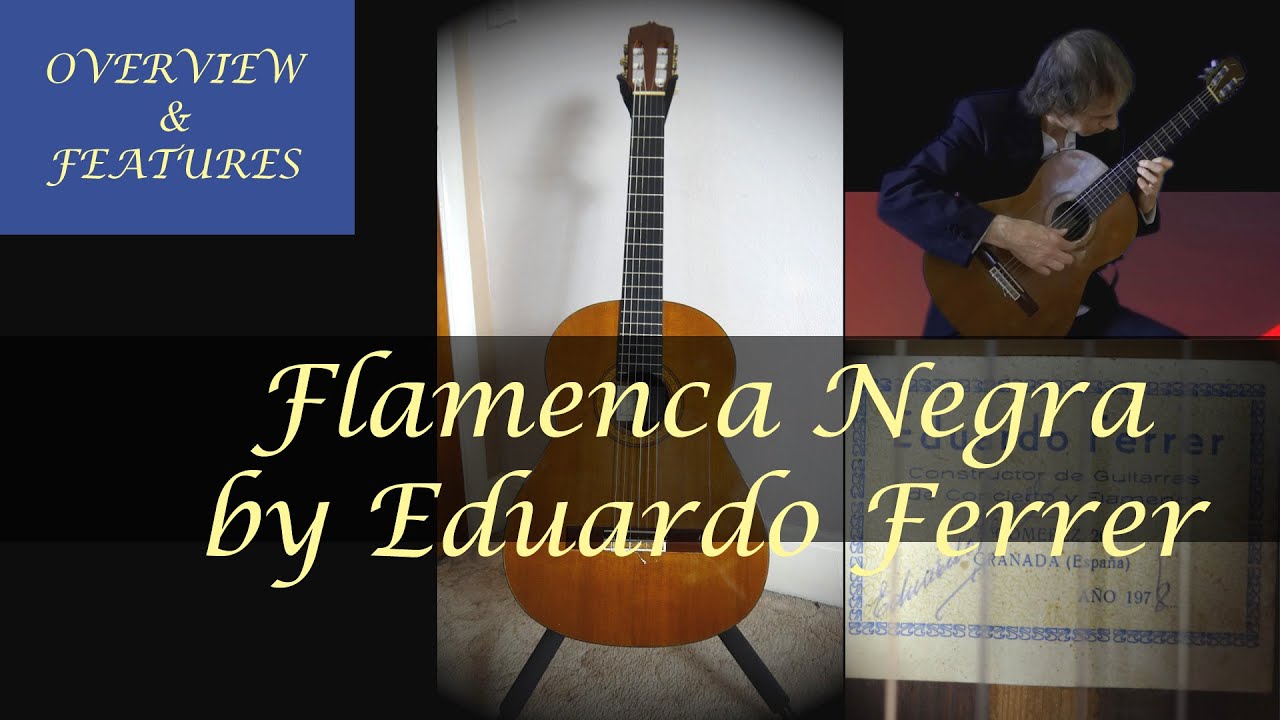 Flamenca Negra Guitar Review | Eduardo Ferrer's Guitars Any Good?