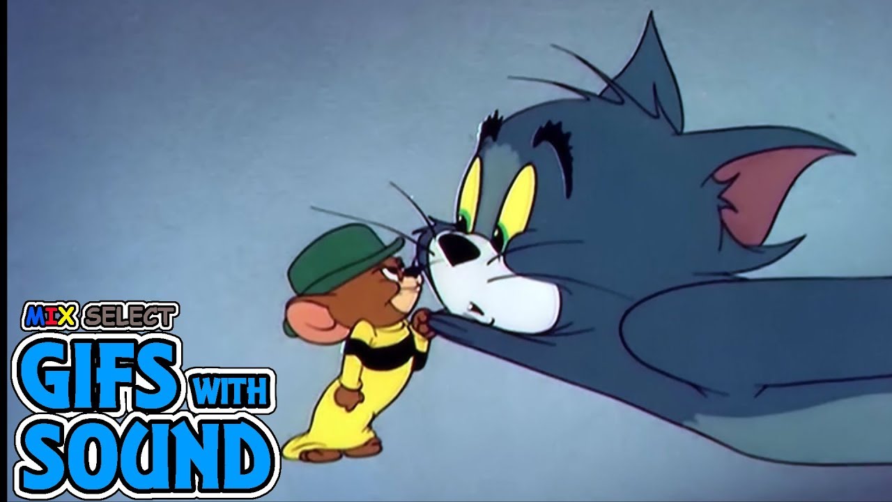 Gifs With Sound Compilation #51 | Mix Select
