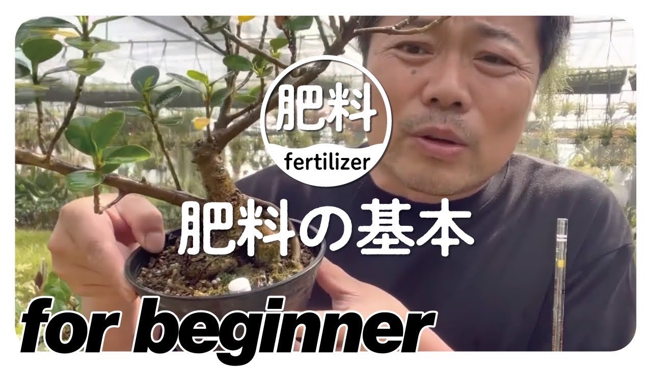 【基礎知識】肥料のやり方について詳しく解説