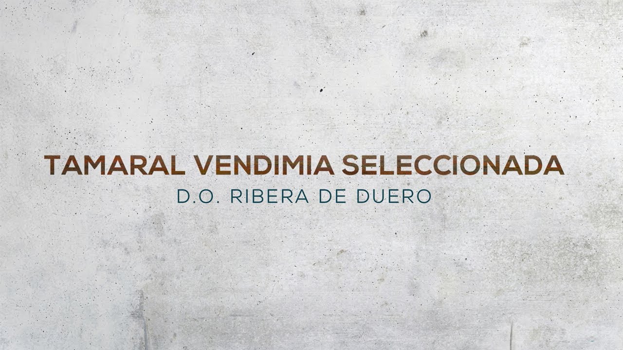 CATA TAMARAL VENDIMIA SELECCIONADA