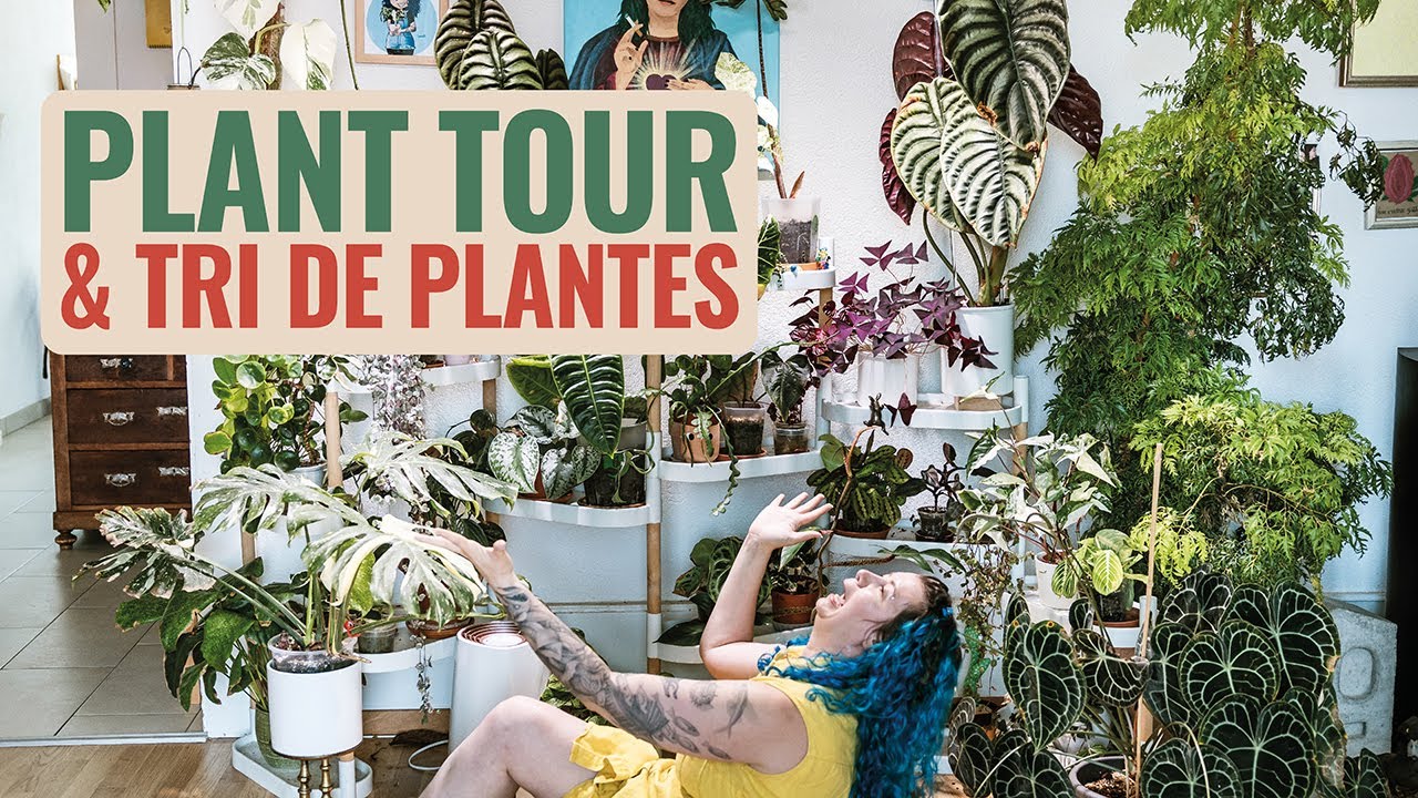 👩‍🌾 Plant tour 2025 de mon salon ! On trie mes plantes... 🌱