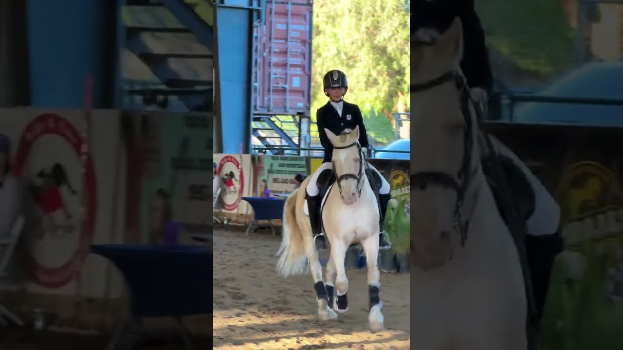 Maverick Wright Maple Lane Kero EOH JR WAWE Qualifier 10/10/25 #ridethewrightway #workingequitation