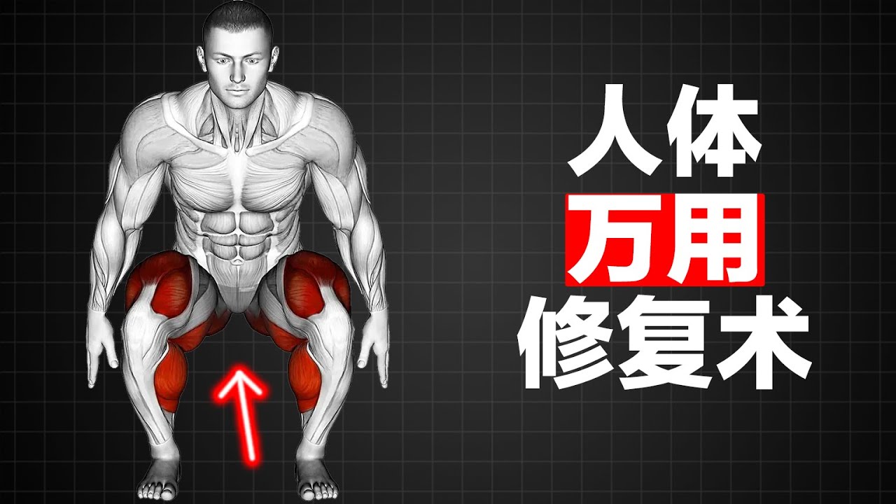 为什么说深蹲是人体的“万用修复术”？看完你就懂了！