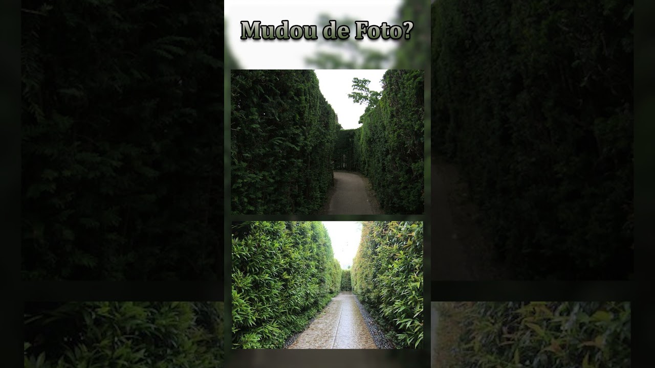 Nível que Mudou de Imagem - 