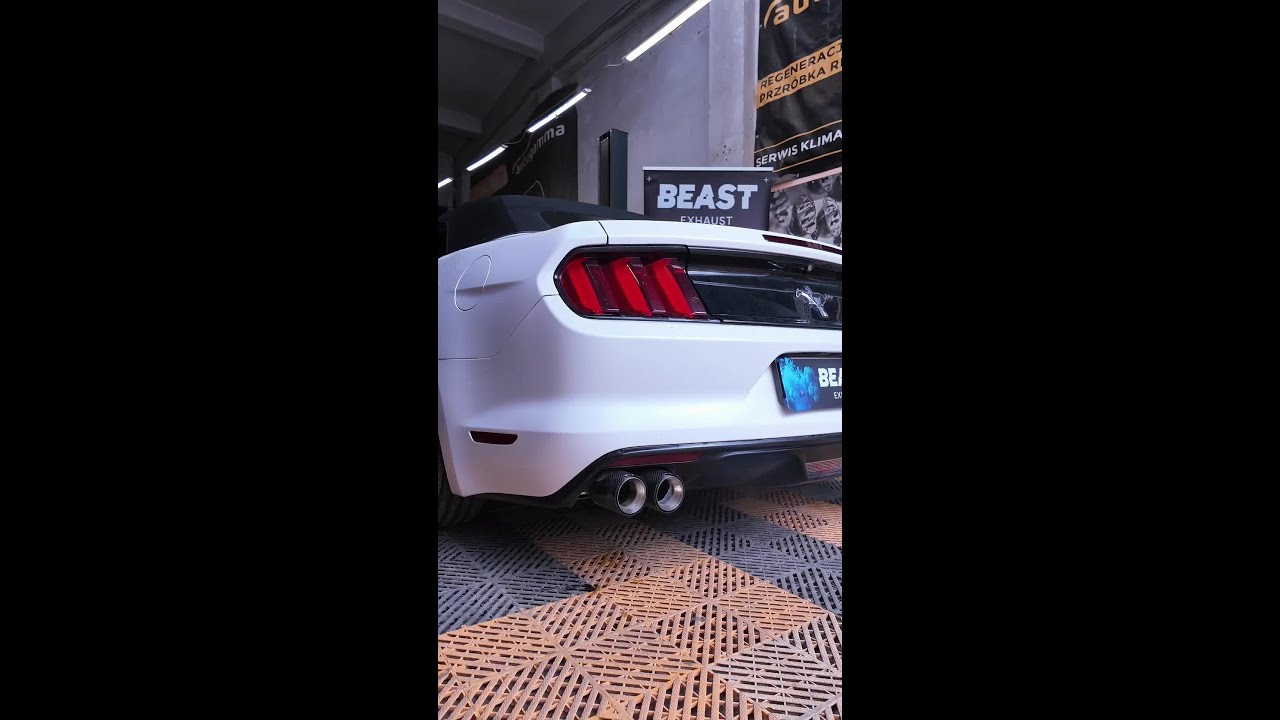 Zmień dźwięk swojego auta w godzinę z BEAST! 🔥