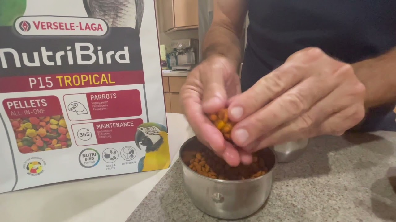 Converting a bird to a pelleted diet