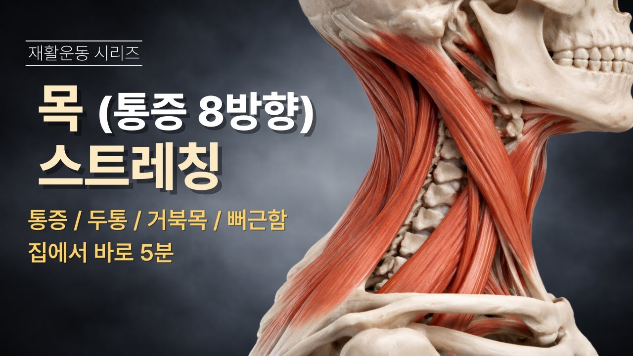 목 통증, 두통, 거북목 한 번에 풀리는 8방향 스트레칭 (손가락으로 하는 디테일 재활)