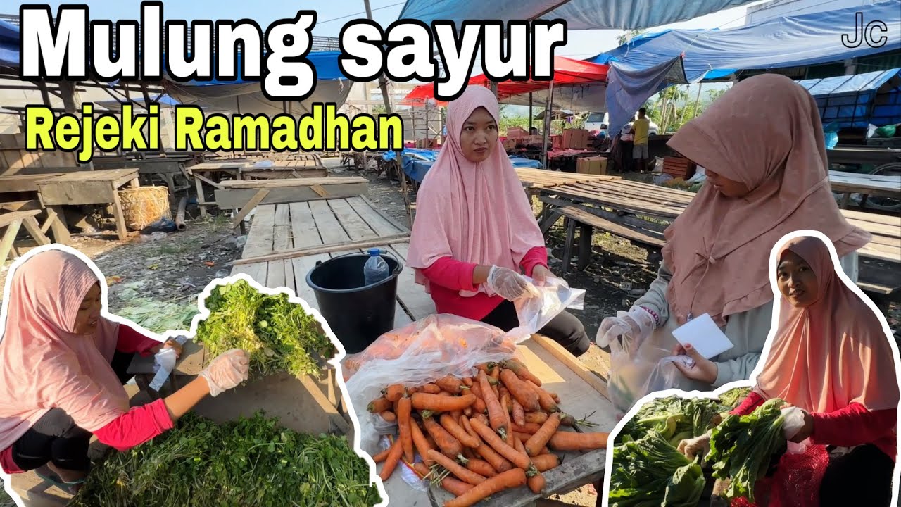 BINGUNG DAPAT SAYUR BANYAK⁉️ KARENA SUDAH MAU PULANG KAMPUNG 