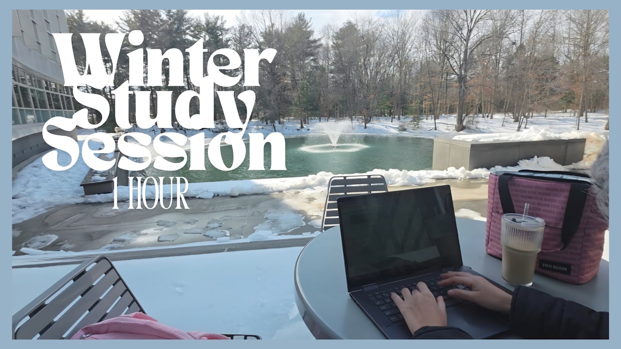 1 HOUR STUDY WITH ME on a SNOWY DAY | Lofi Music & Lake Fountain View