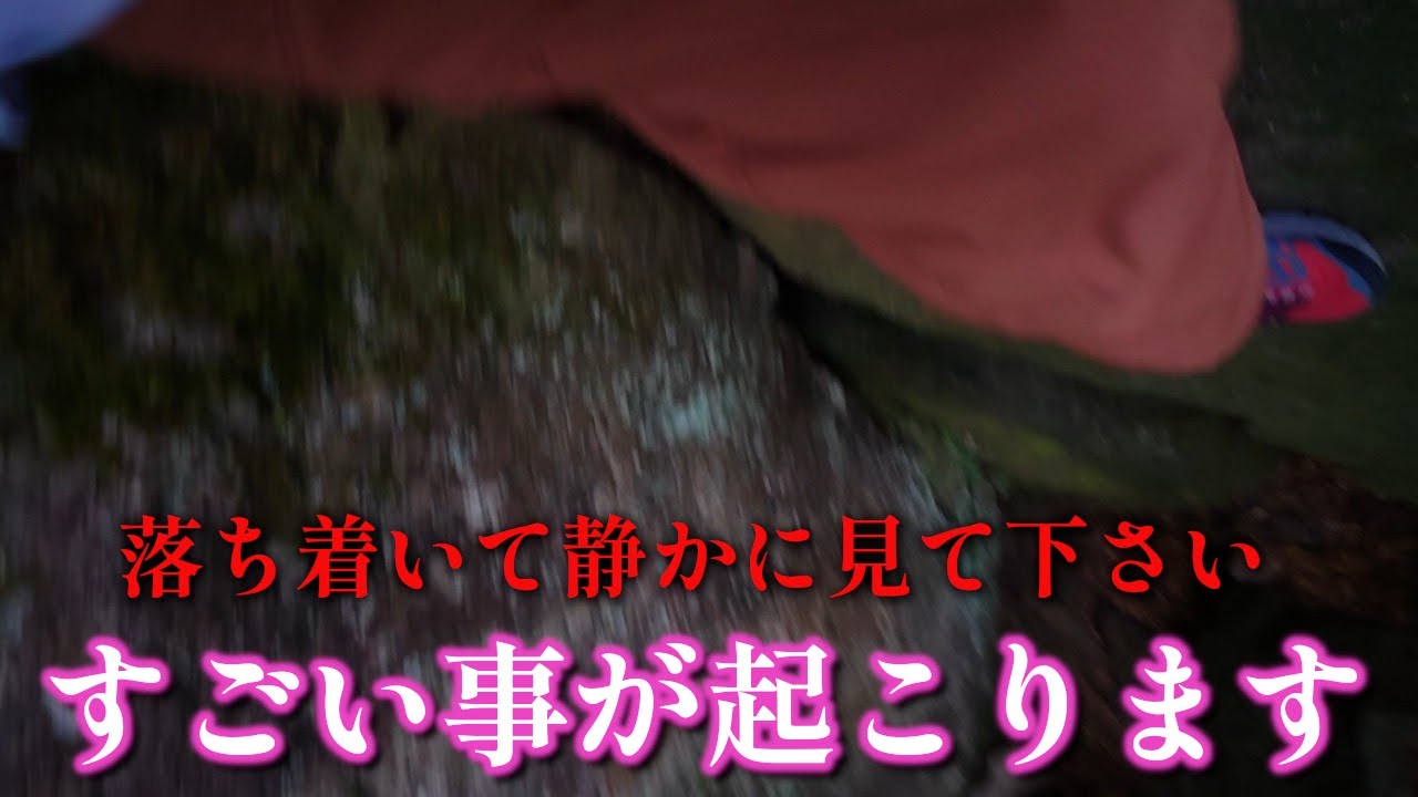 ⚠️0.01%の人だけの目に止まる龍神の姿が見えたら神威の力で人生が好転します｜本宮山・岩戸神社（奥の院） 遠隔参拝423