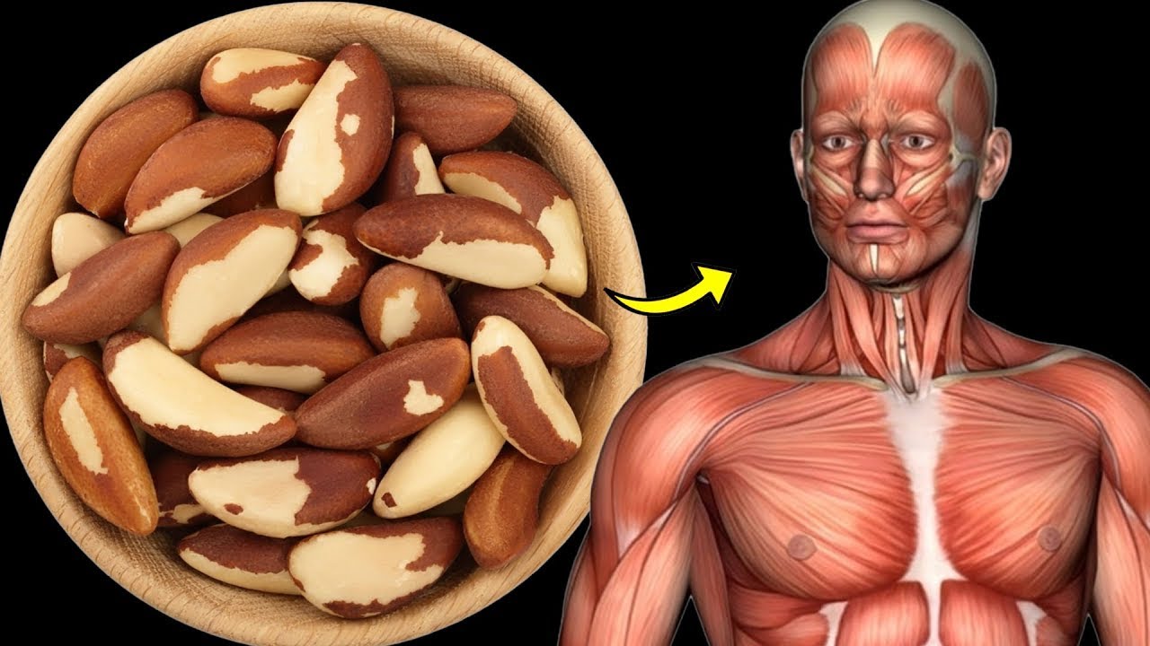 O que acontece com seu corpo quando você come 1 castanha-do-pará todos os dias