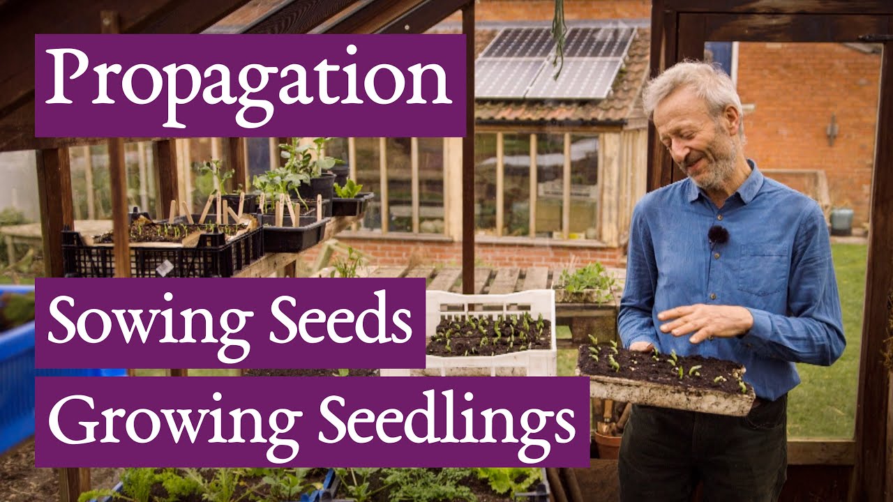 Charles Dowding, raising plants from seed