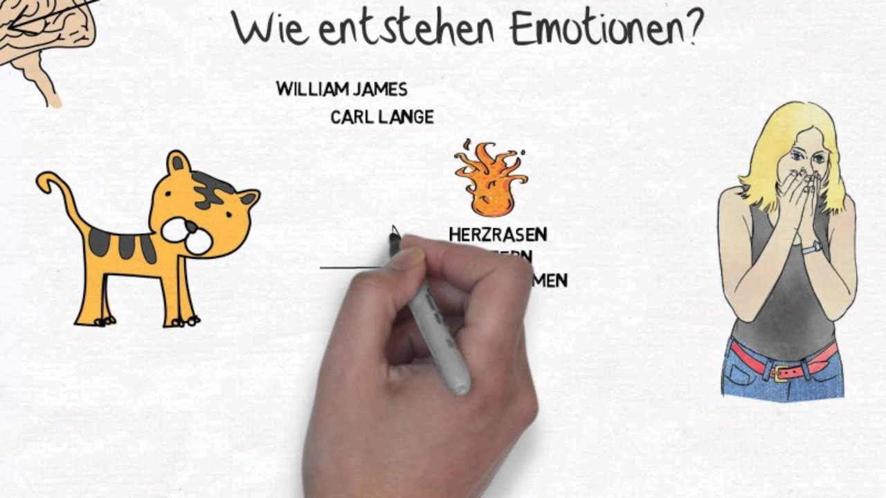 ich.kurs Emotionen erkennen: James-Lange-Theorie der Emotion