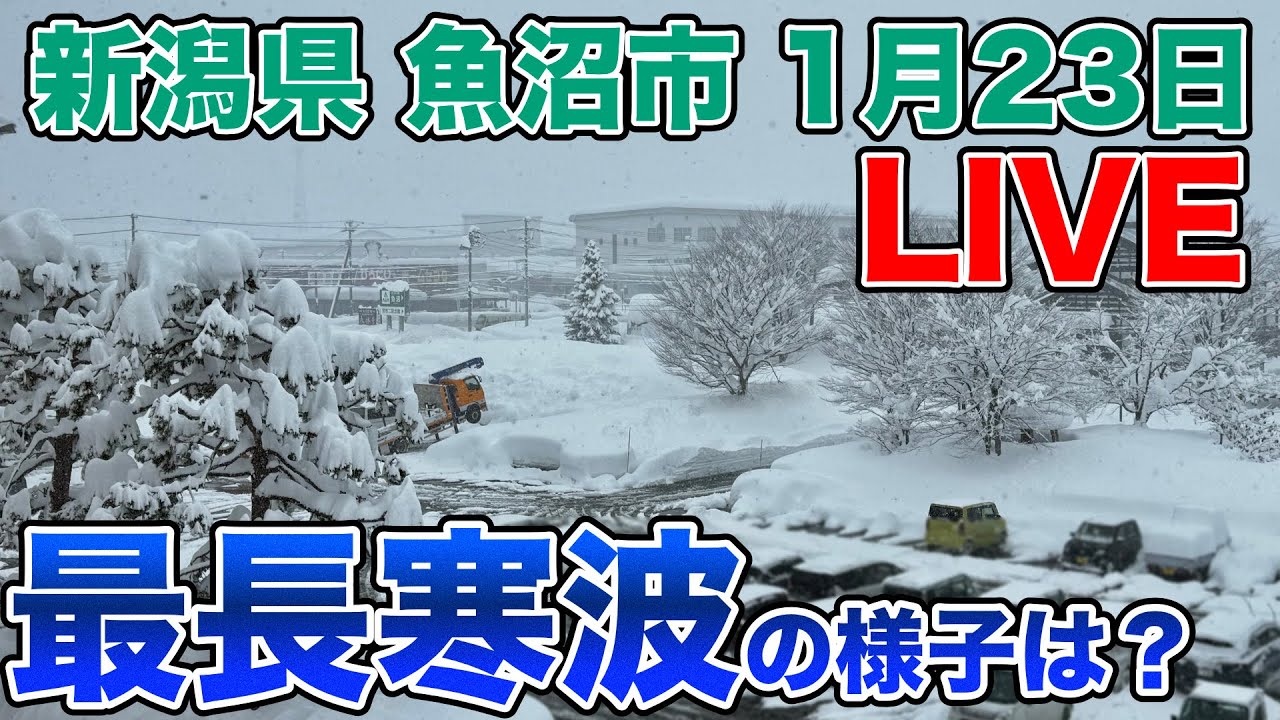 【最長寒波の様子は？】 新潟県魚沼市 堀之内ライブカメラ