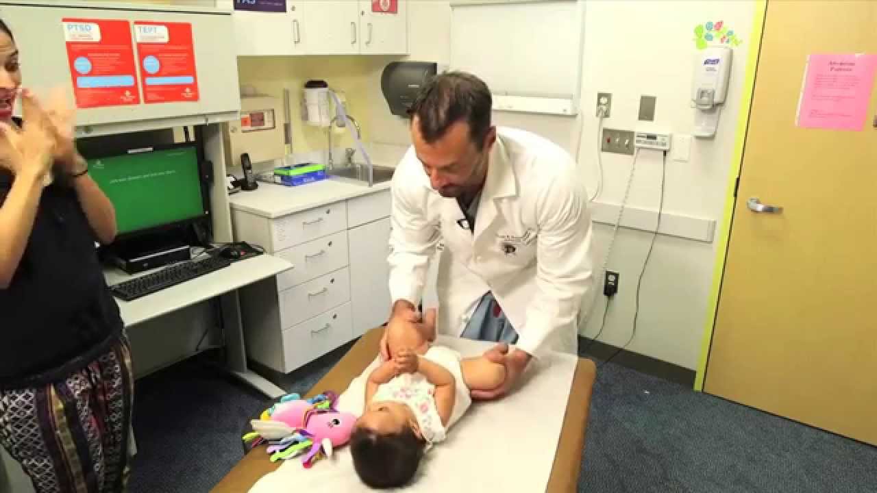 TCH Ortho - Hip