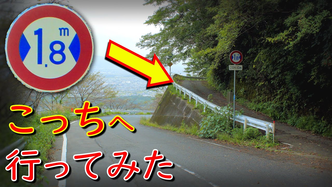 【険道♦/入口から雰囲気がヤバすぎる激狭道】徳島県道242号 植桜鴨島線【チェリーロード・吉野川市】