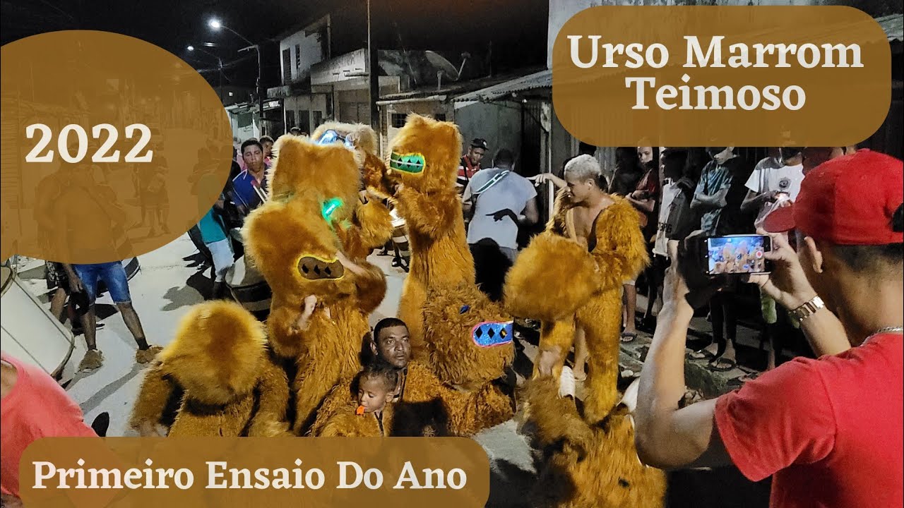 Primeiro Ensaio Do Ano Urso Marrom Teimoso 2022🐻