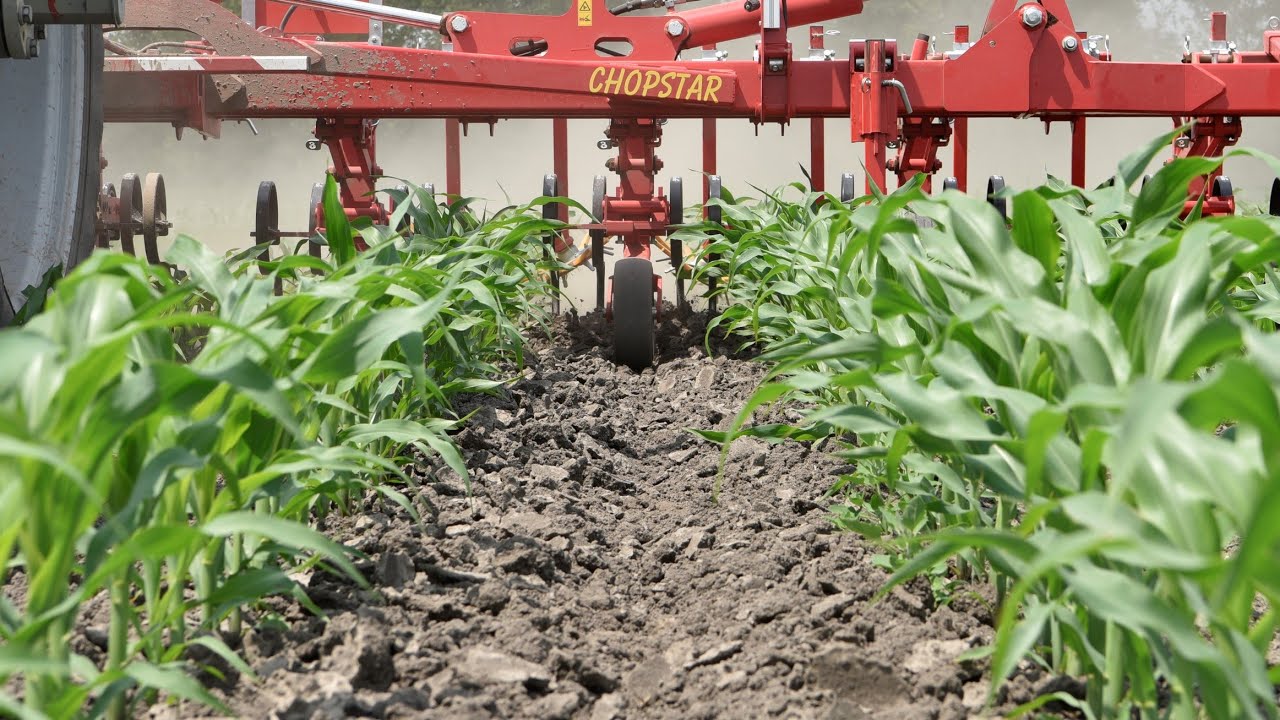 Hackgerät für Mais | Row-crop cultivator | Bineuse CHOPSTAR 5-90 - EINBÖCK Shortclip #9