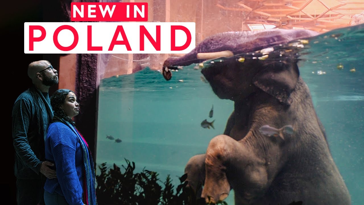 Poland's BEST NEW Attraction! 🇵🇱