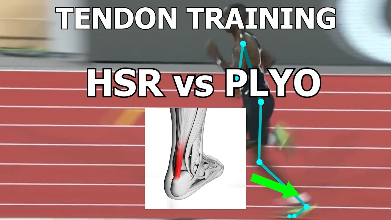 Tendon Training for Running: Heavy Slow Resistance Training vs. Plyometrics