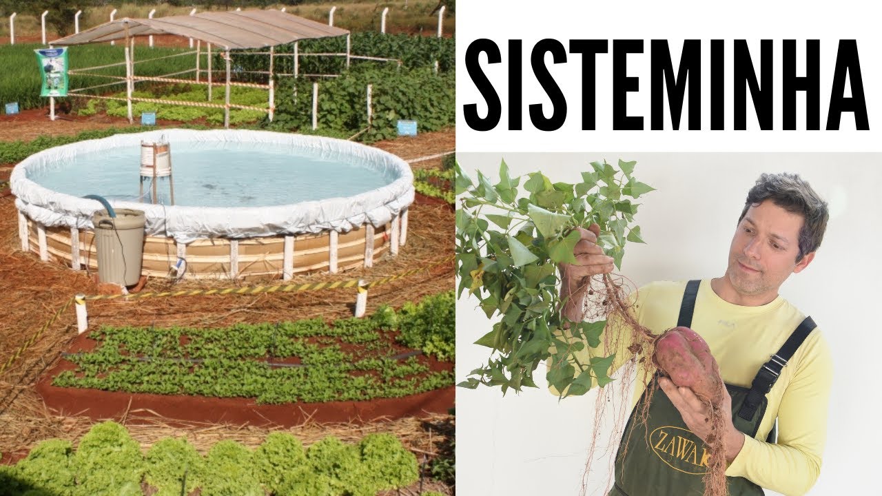 Sisteminha  - A produção integrada de alimentos que está transformando vidas!