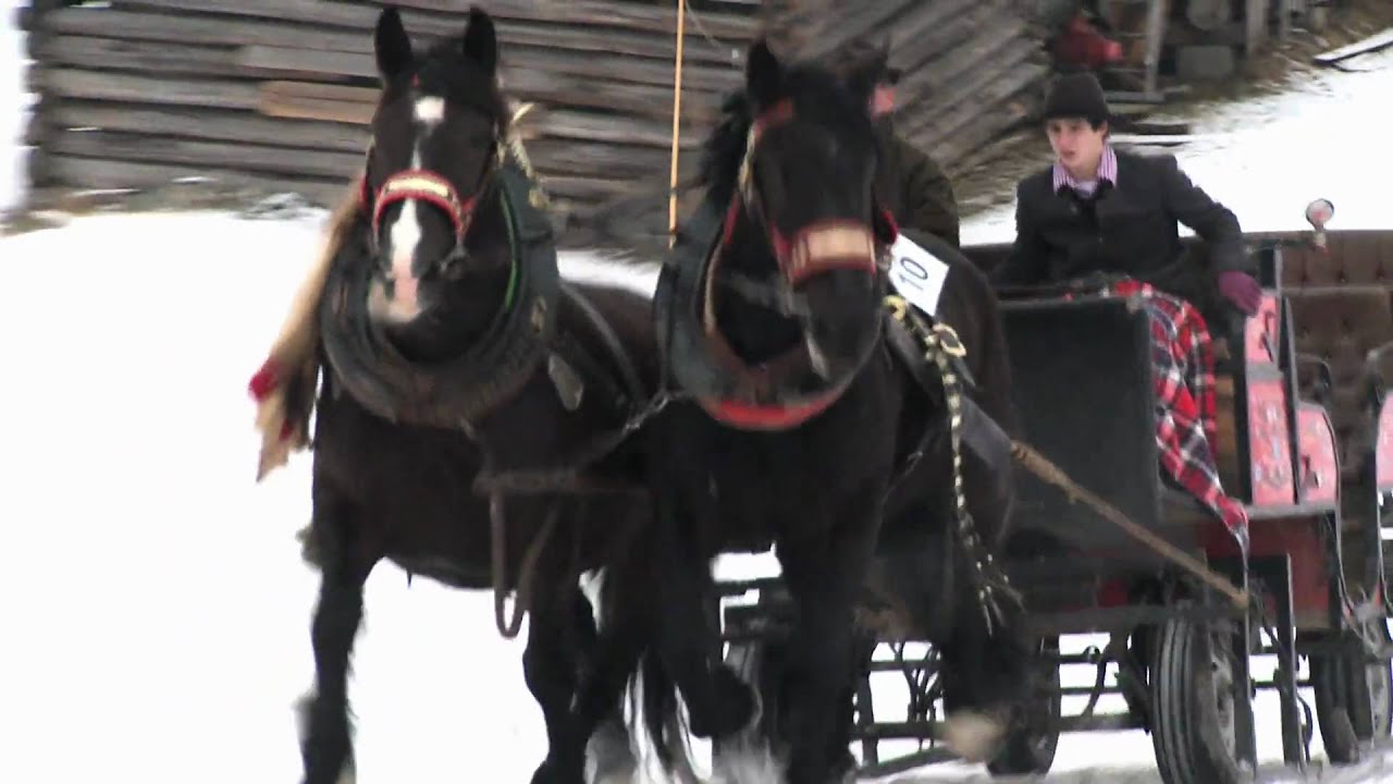 Brauchtumsfest in Mittersill