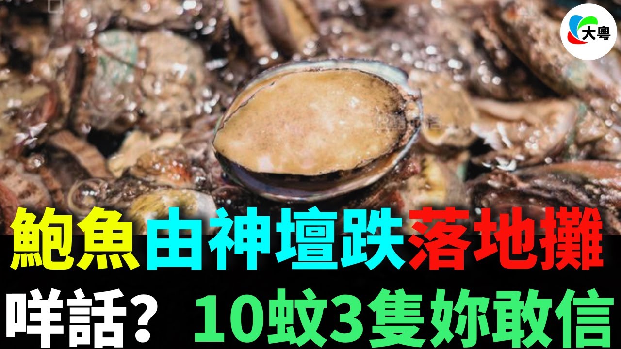 羊話？10蚊3隻妳敢信？！90%暴跌，頂級鮑魚死因曝光？鮑魚點解由神壇跌落地攤？！技術革命，發達象徵冇左？！工業化犧牲口感！！高端需求斷崖式蒸發！
