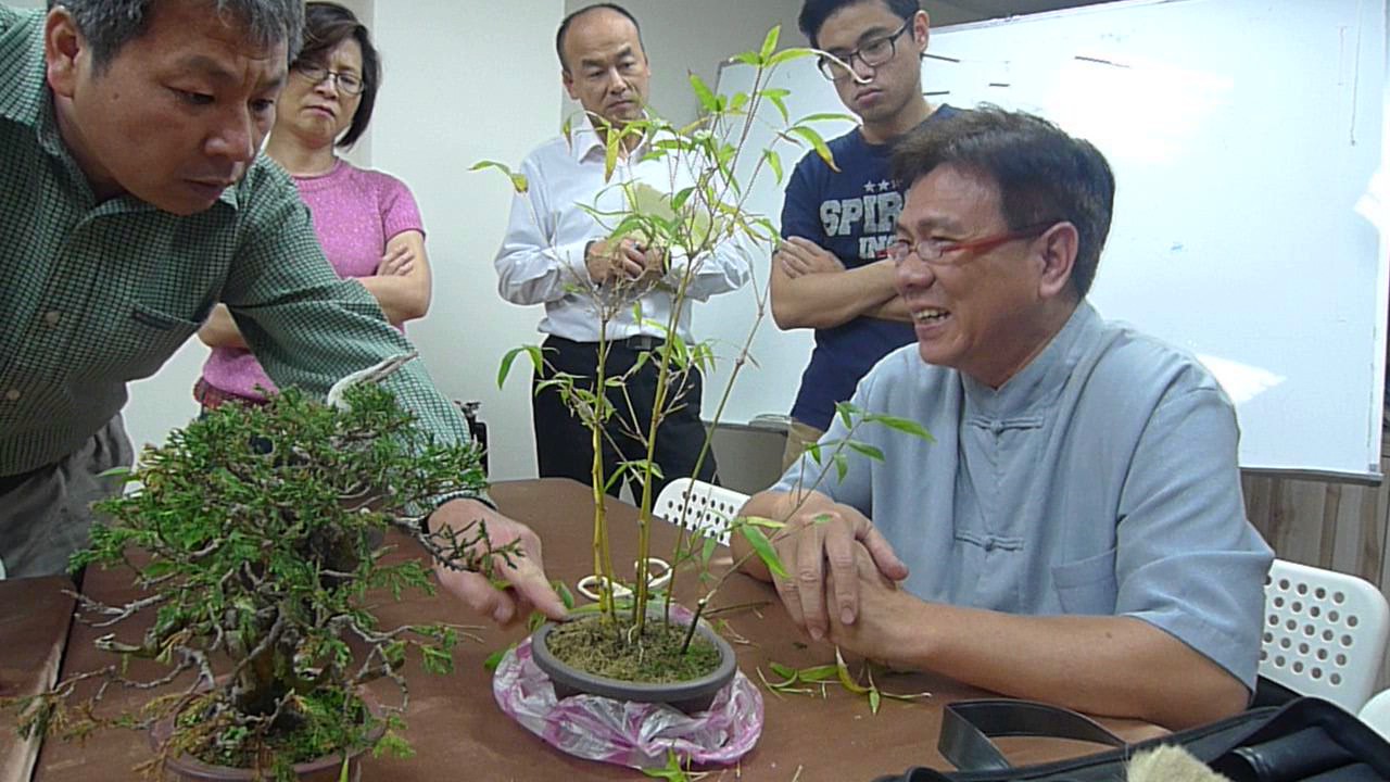 【林慶祥盆景藝術創作教學】林慶祥老師解說竹子的生長、修剪以及分株