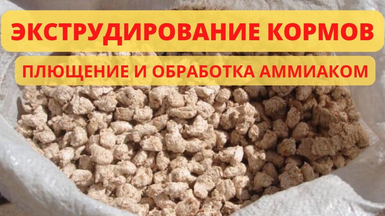 Экструдер, плющилка, аммиак - надо ли это всё корове?