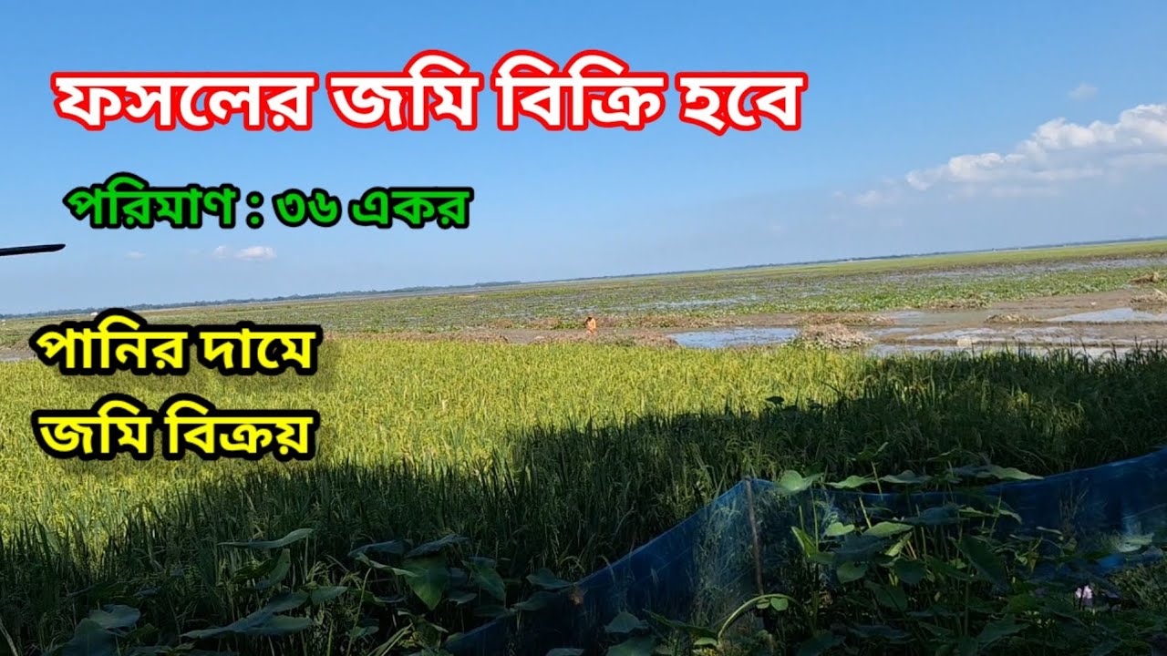 ফসলের জমি বিক্রয়। মৎস্য প্রকল্পের জন্য জমি বিক্রয় । ৩০ একর জমি বিক্রি হবে। 
