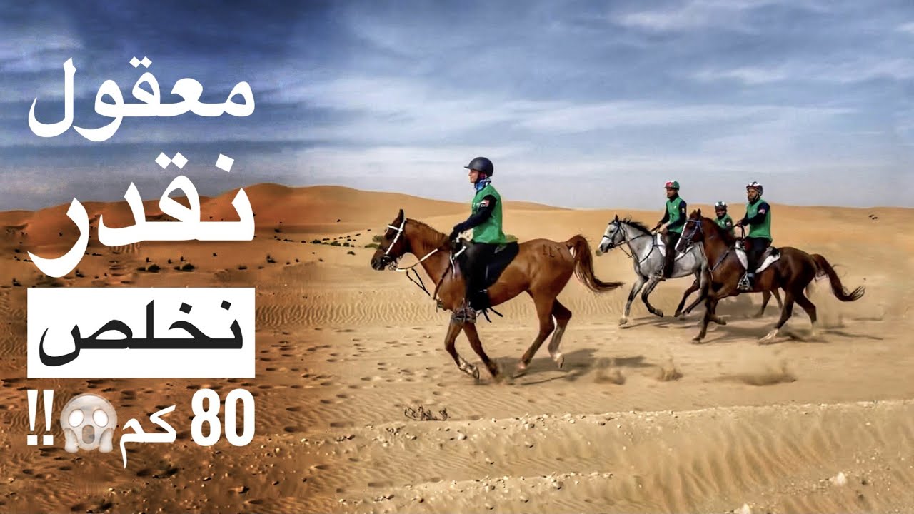 مغامرة 80 كم: سباق القدرة والتحمل في صحراء الإمارات