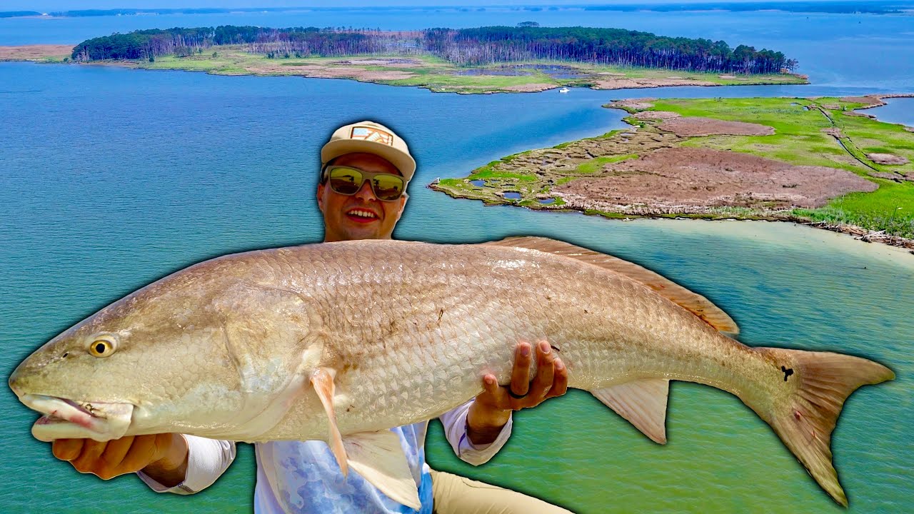 BEASTS OF THE CHESAPEAKE | Bull Redfish