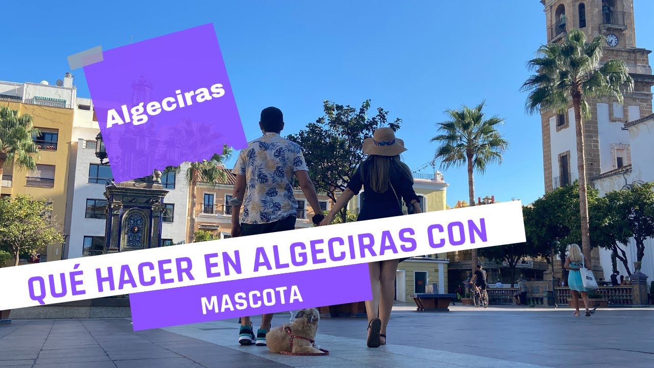 ¿Qué hacer en ALGECIRAS, ESPAÑA? Tips para viajar con MASCOTA🐶