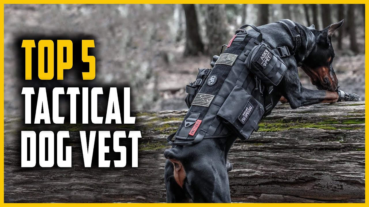 Top 5 Best Tactical Dog Vest in 2024