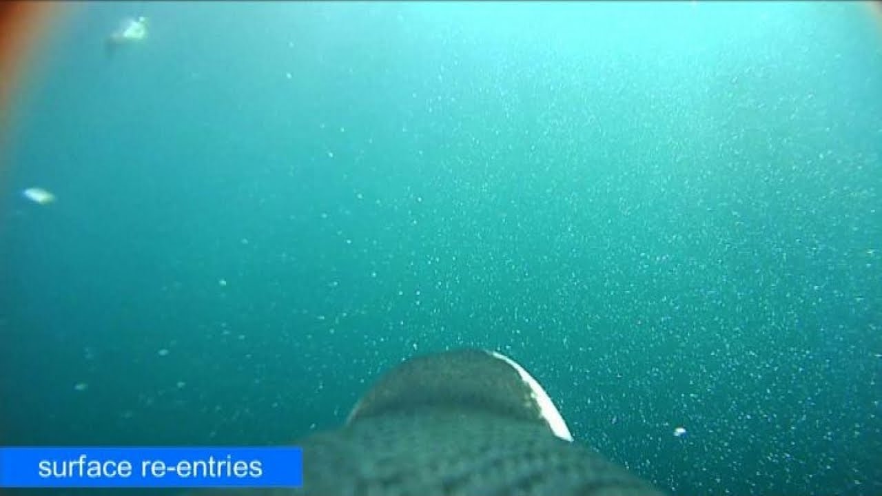 A caccia con il pinguino equipaggiato di telecamera go-pro