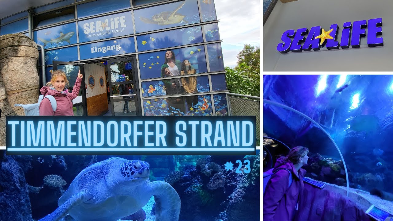 SEA LIFE Timmendorfer Strand | Das Aquarium direkt am Strand der Ostsee | Rundgang 2023