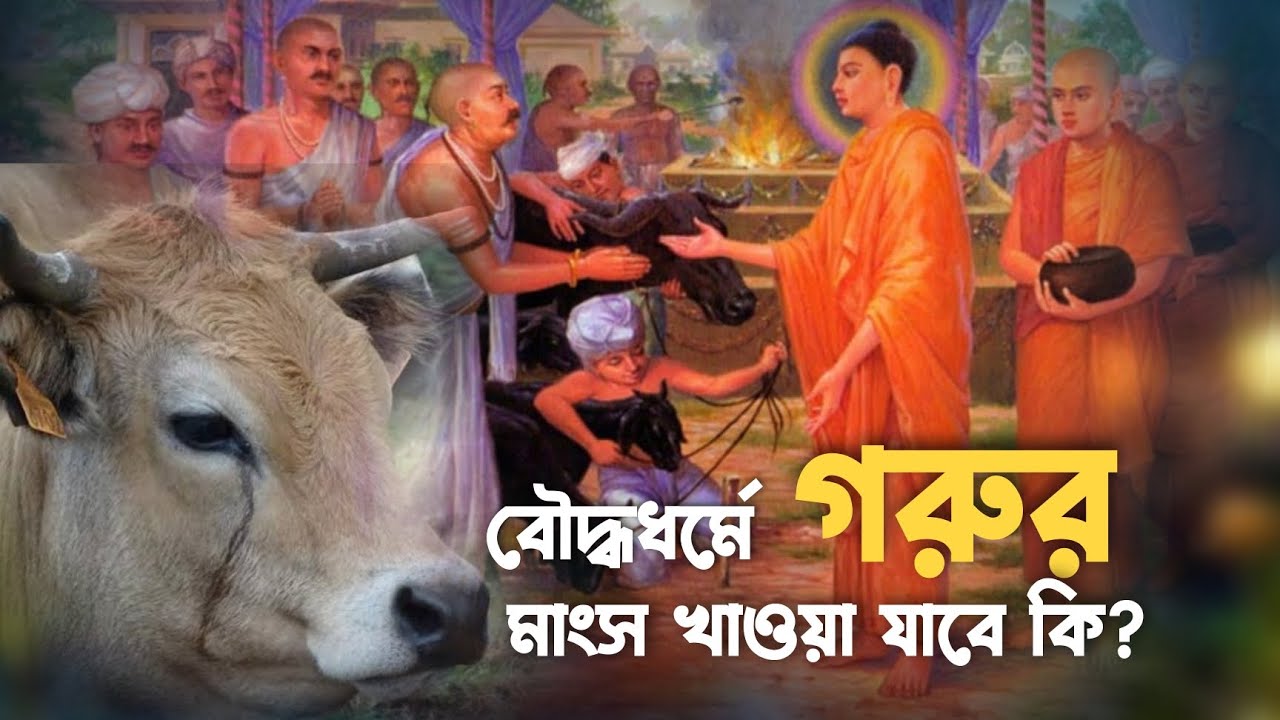 বৌদ্ধধর্মে গরুর মাংস খাওয়া যাবে কিনা? গরুর মাংস|| বৌদ্ধধর্ম||  ড. এফ দীপঙ্কর মহাথেরো