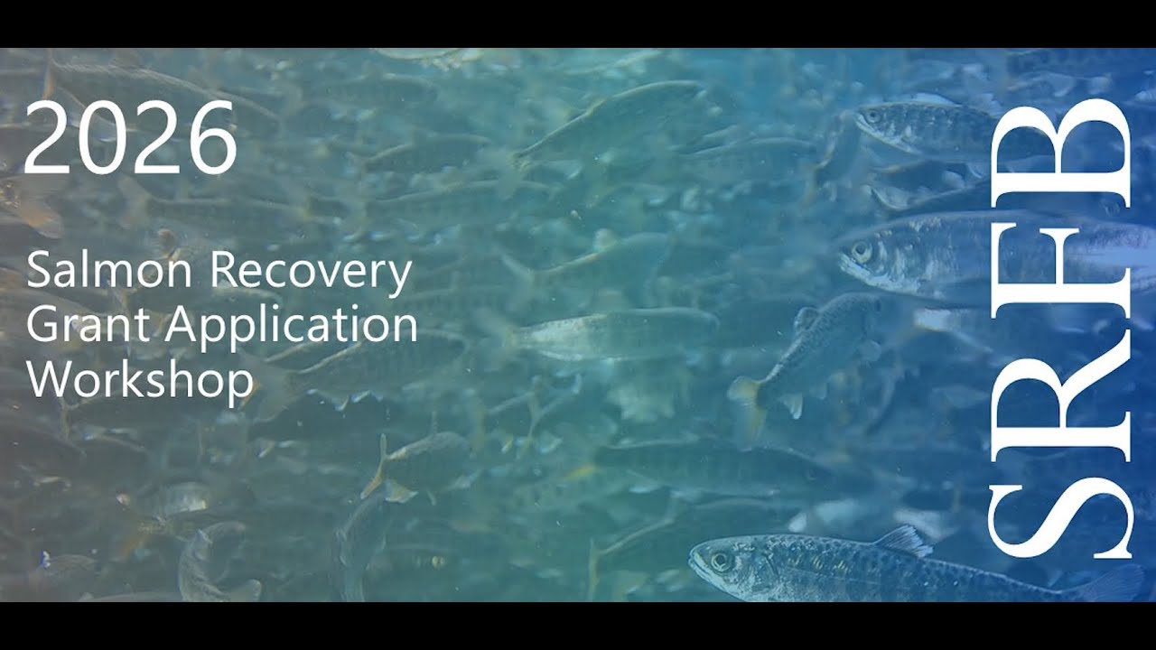 Salmon Application Introduction