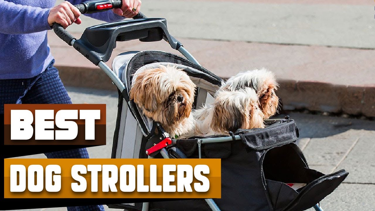 Dog Stroller : Incredible Dog Strollers in 2026