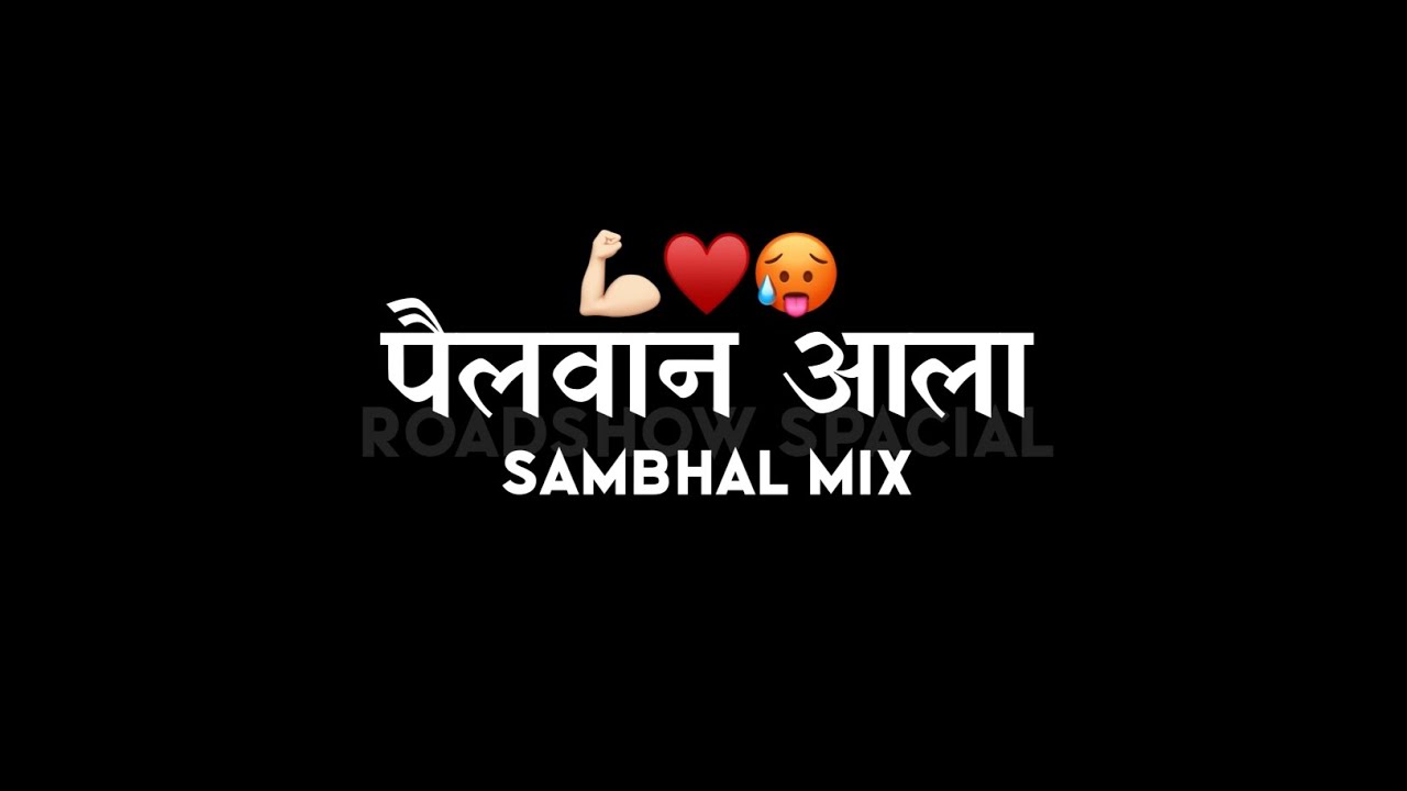 पैलवान आला Remix💪🏻🥵 II Halgi mix II roadshow spacial II 