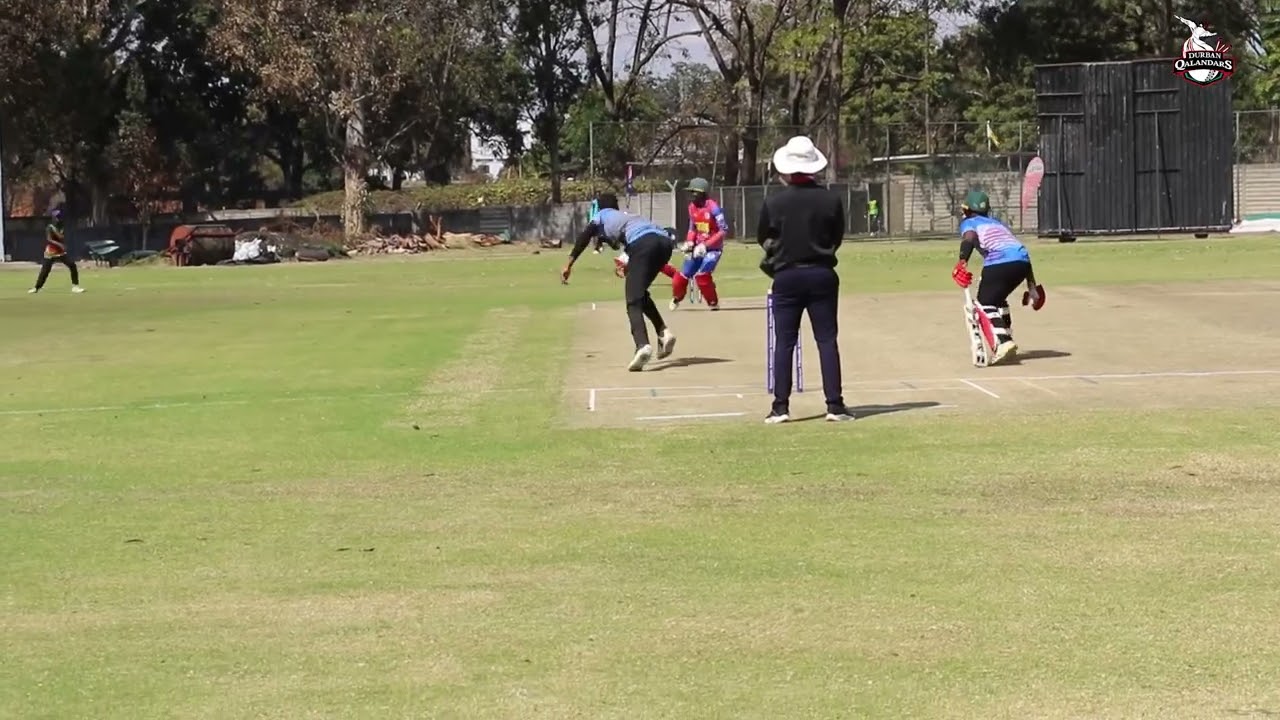 PDP in ZIMBABWE
