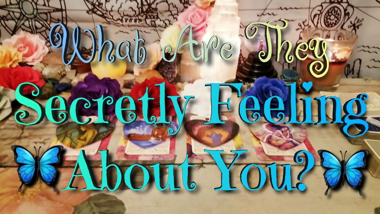 What Are They Secretly Feeling About You? | Pick a Card Tarot | Timeless 🦋
