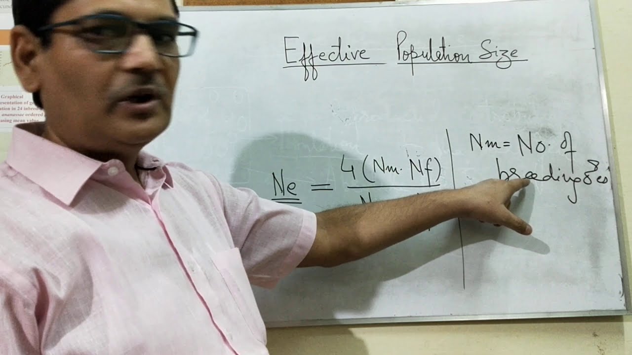 Effective Population Size