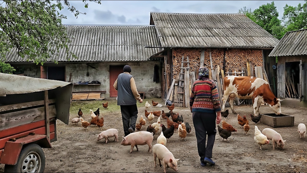 Happy old age of an elderly couple. This is what rural life looks like outside of civilization.
