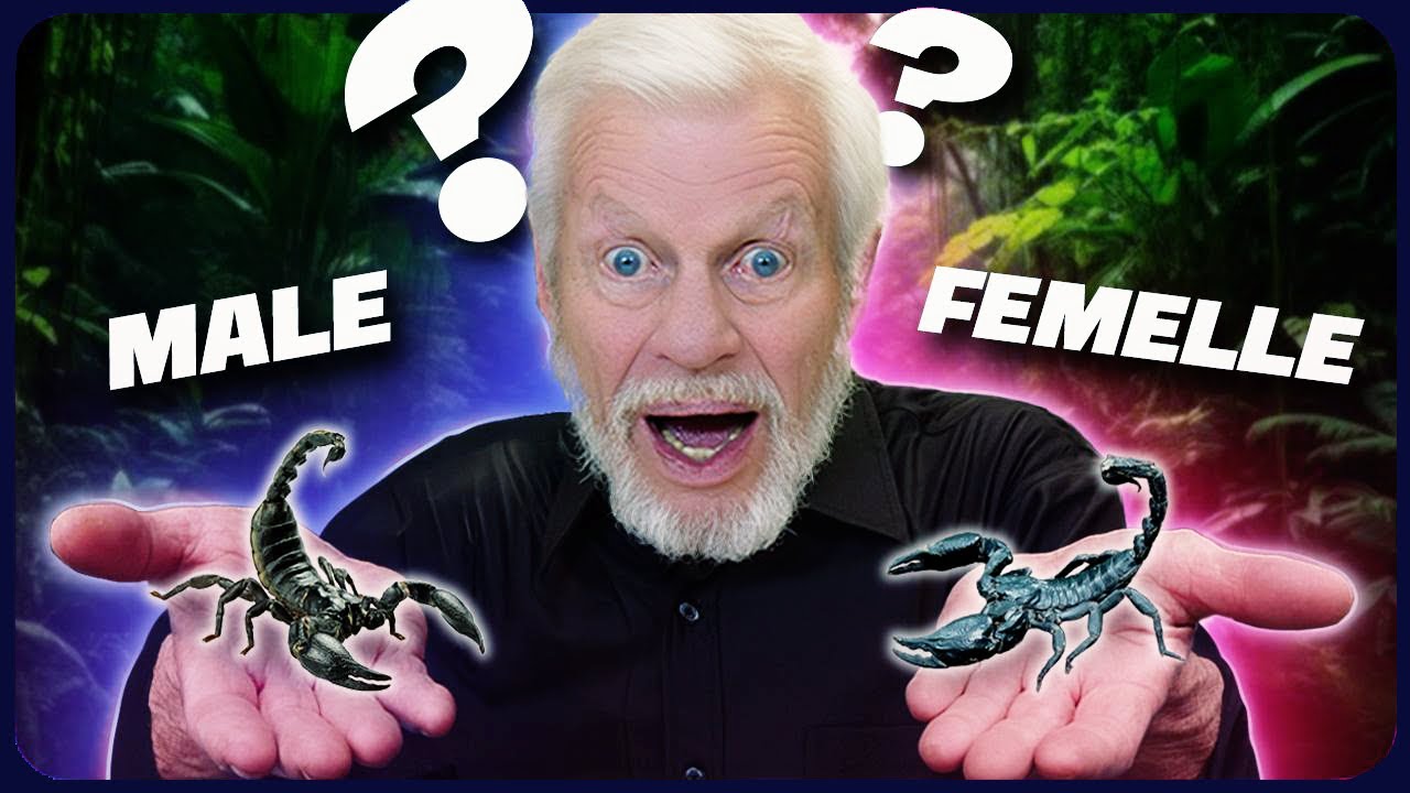 QUAND LES ANIMAUX DRAGUENT ! ❤️🔥 Mâles vs Femelles