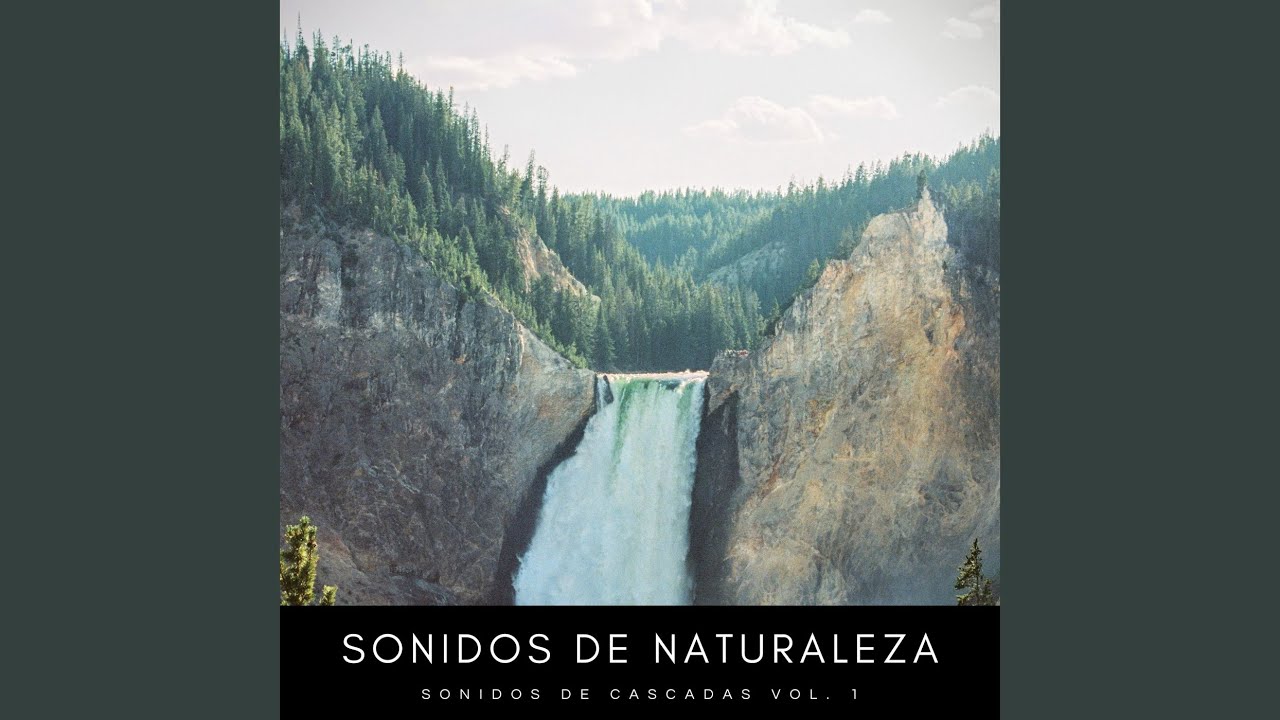 Sonidos Del Clima