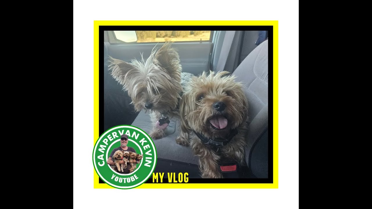 Tucker And Baby MaeMae Must Go To Vet.