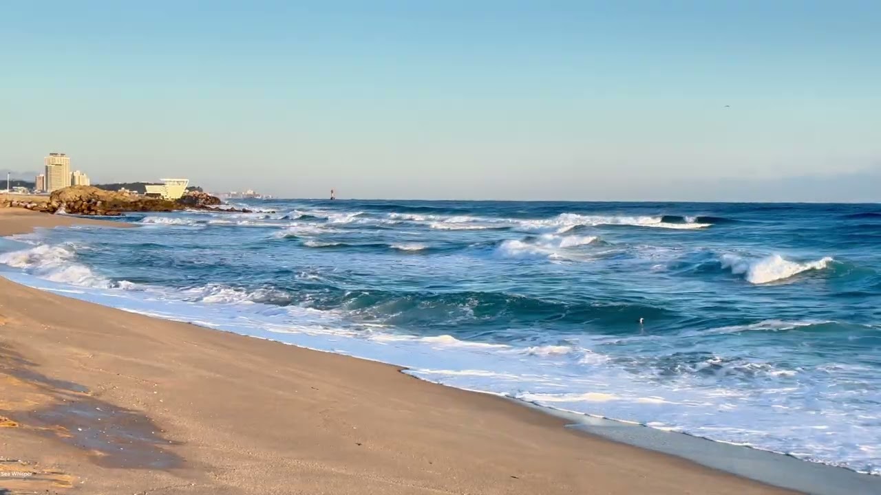 [자연음 · 파도소리] 바다가 들려주는 위로 🌊 거친 겨울 강릉 경포해변 파도소리 1시간 | ASMR