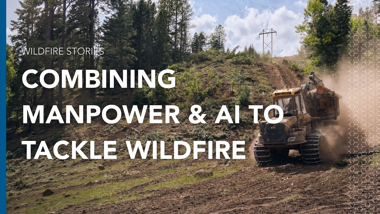 Targeting Vegetation Risk with Greater Precision